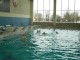 Thumbs/tn_DSC00017.jpg
