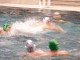 Thumbs/tn_P1150258.jpg