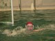 Thumbs/tn_P1150287.jpg