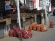 Thumbs/tn_IMG_0856.jpg
