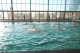 Thumbs/tn_DSC_2696.jpg