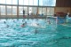 Thumbs/tn_DSC_2698.jpg
