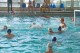 Thumbs/tn_DSC_2701.jpg