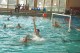 Thumbs/tn_DSC_2704.jpg