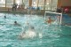 Thumbs/tn_DSC_2705.jpg