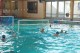 Thumbs/tn_DSC_2709.jpg