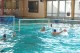 Thumbs/tn_DSC_2710.jpg