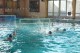 Thumbs/tn_DSC_2712.jpg