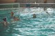 Thumbs/tn_DSC_2717.jpg