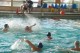 Thumbs/tn_DSC_2718.jpg