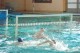 Thumbs/tn_DSC_2719.jpg
