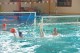 Thumbs/tn_DSC_2722.jpg