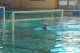 Thumbs/tn_DSC_2733.jpg