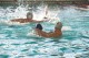 Thumbs/tn_DSC_2743.jpg