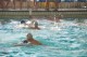 Thumbs/tn_DSC_2744.jpg