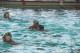 Thumbs/tn_DSC_2745.jpg