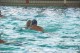 Thumbs/tn_DSC_2746.jpg