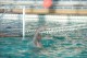 Thumbs/tn_DSC_2761.jpg