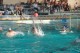 Thumbs/tn_DSC_2762.jpg