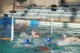 Thumbs/tn_DSC_2764.jpg