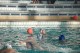 Thumbs/tn_DSC_2765.jpg