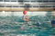 Thumbs/tn_DSC_2766.jpg