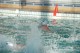 Thumbs/tn_DSC_2768.jpg