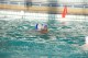 Thumbs/tn_DSC_2769.jpg
