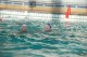 Thumbs/tn_DSC_2770.jpg