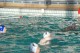 Thumbs/tn_DSC_2771.jpg