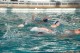 Thumbs/tn_DSC_2772.jpg
