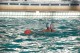 Thumbs/tn_DSC_2773.jpg
