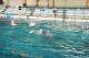 Thumbs/tn_DSC_2776.jpg