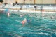Thumbs/tn_DSC_2778.jpg