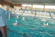 Thumbs/tn_DSC_2781.jpg