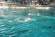 Thumbs/tn_DSC_2783.jpg