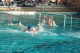 Thumbs/tn_DSC_2785.jpg