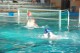 Thumbs/tn_DSC_2790.jpg