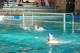 Thumbs/tn_DSC_2791.jpg