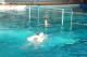 Thumbs/tn_DSC_2793.jpg