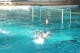 Thumbs/tn_DSC_2794.jpg