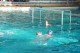Thumbs/tn_DSC_2795.jpg
