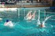 Thumbs/tn_DSC_2801.jpg