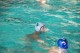Thumbs/tn_DSC_2806.jpg