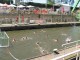 Thumbs/tn_IMG_7607.jpg