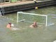 Thumbs/tn_IMG_7613.jpg