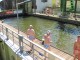 Thumbs/tn_IMG_7616.jpg