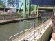 Thumbs/tn_IMG_7623.jpg