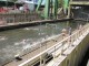 Thumbs/tn_IMG_7624.jpg