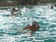 Thumbs/tn_DSC00008aa.jpg